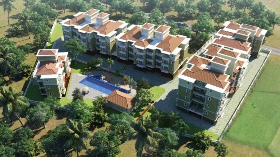 B and F Meadows, Revora