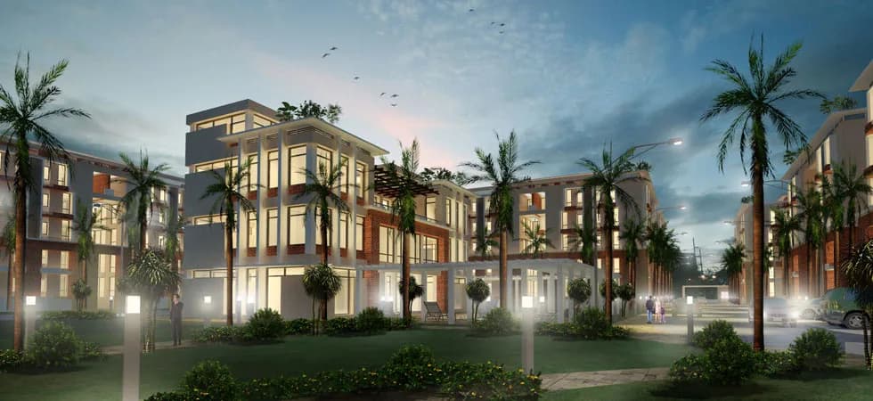 Versatile Palm Avenue — Night View