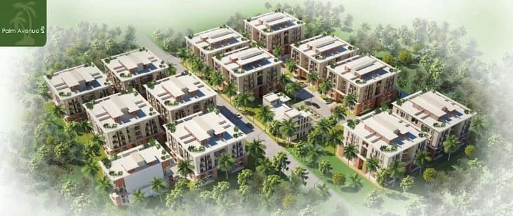 Versatile Palm Avenue, Patia