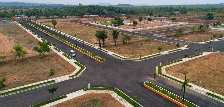 Dream Prime Plots, Chirle