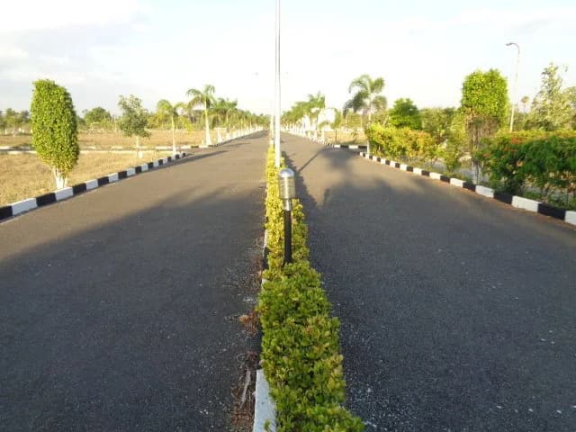 RR Royal Palm — Internal Road