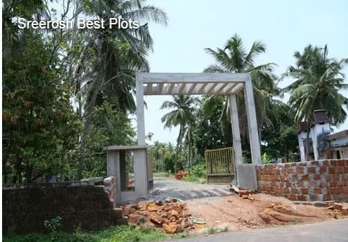 Sreerosh Best Plots — Entrance