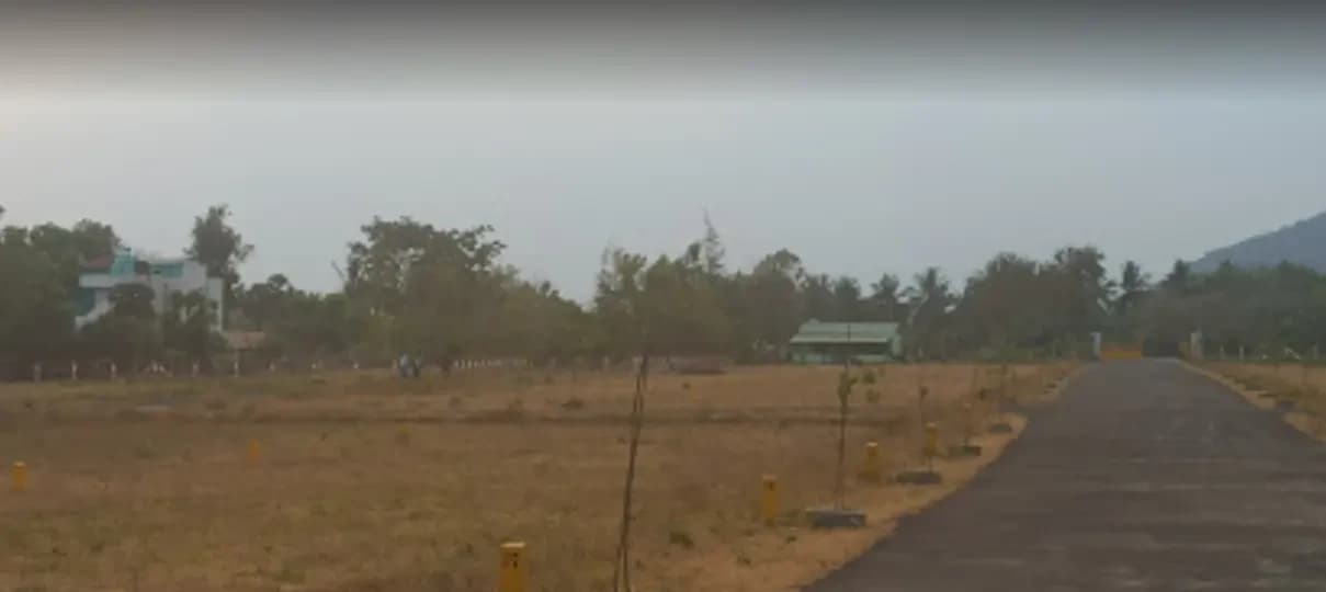 KAIG MMT Garden — Site View