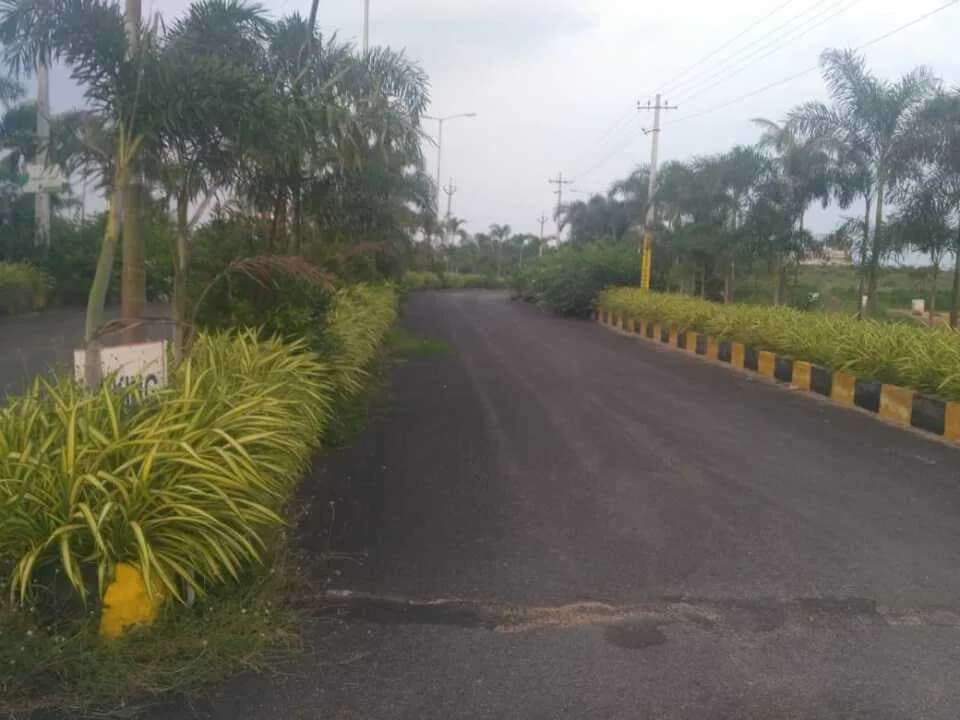 Vikhyath Haritha Vanam Bhongir — Internal Road