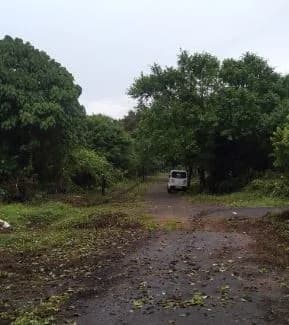 Apka Farm Villas — Site View