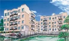 D K Rose, Arera Colony