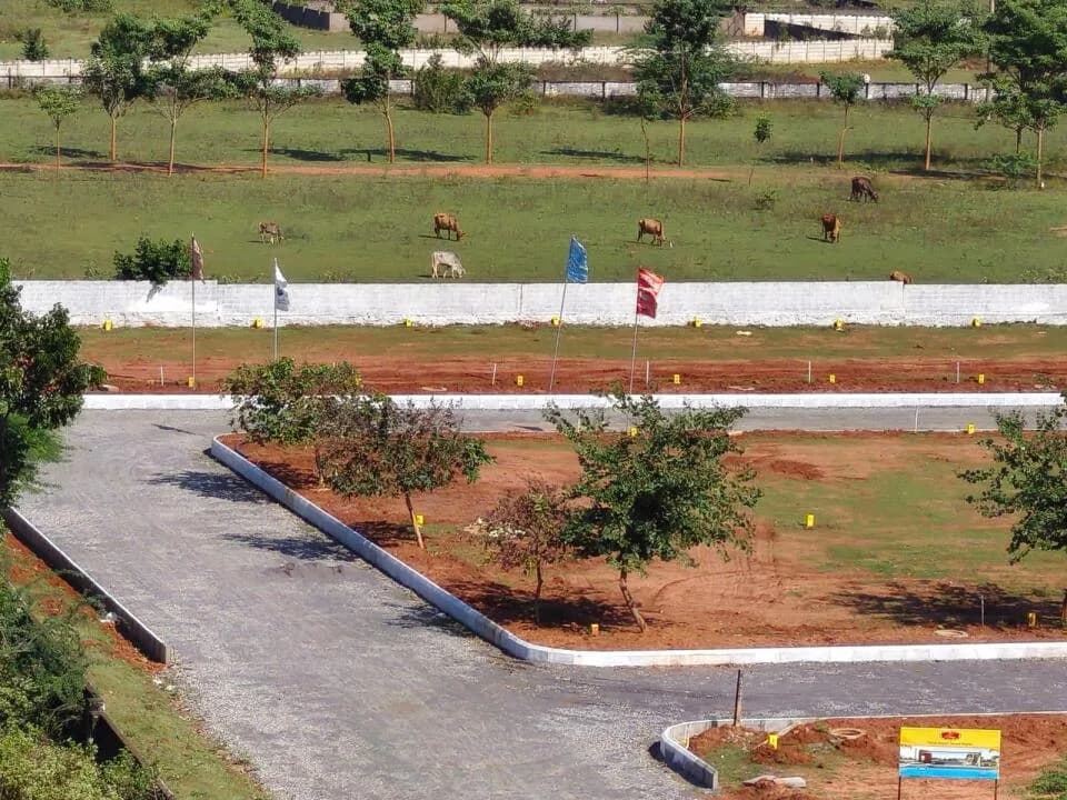 Saaswatha Sattva Prime, Bheemili