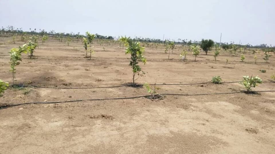 Ruthvika Green Farm Land, Yadagirigutta