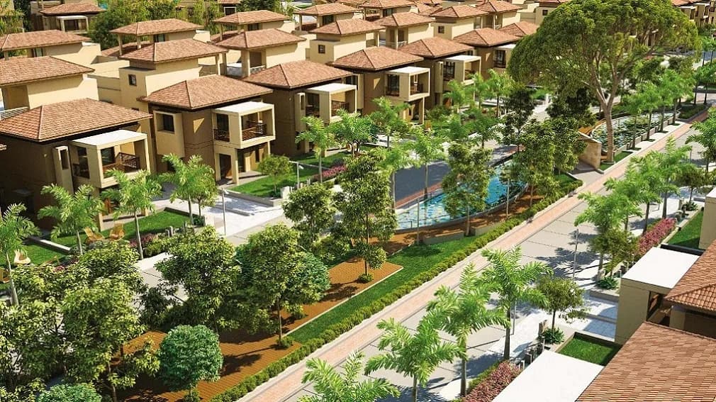 Supercity Glory, Bhadaj