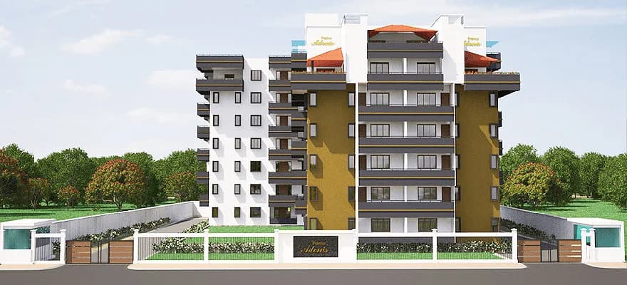 Pramur Adonis — Side Elevation