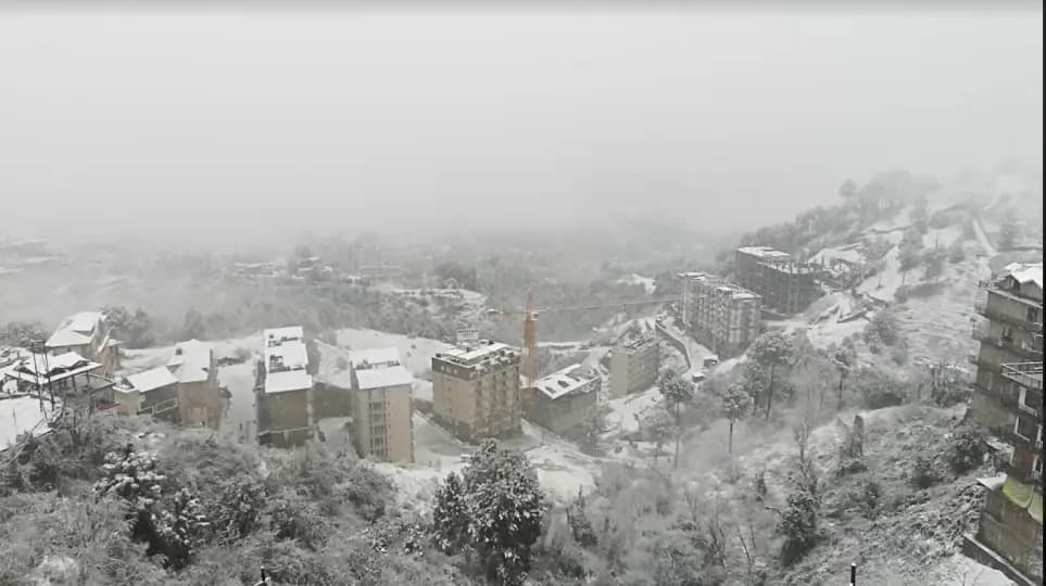 Chester Hills, Kasauli