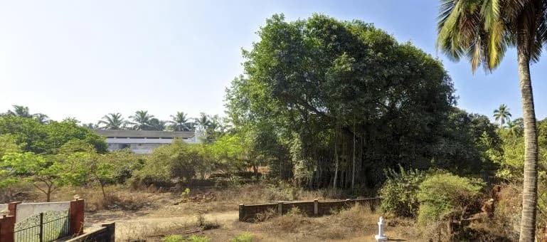 Sun Banyan Beach House, Candolim