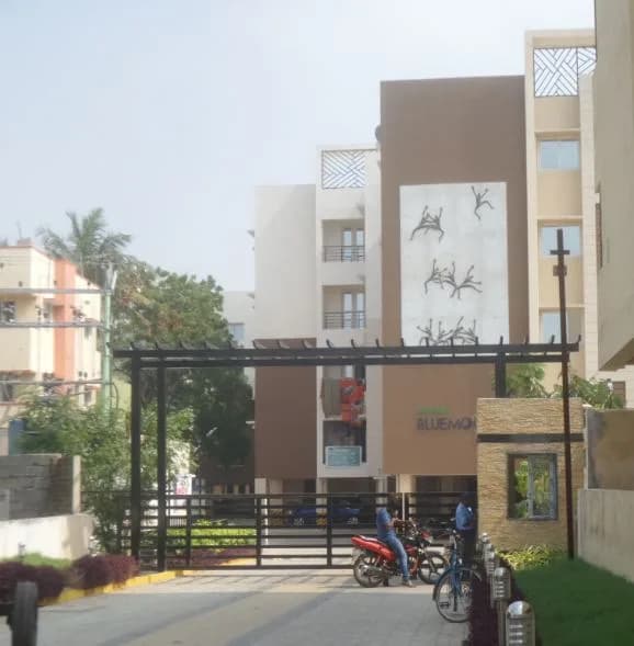 Harmony Blue Moon, Zamin Pallavaram
