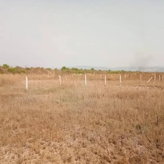 Space Realtors Tisri Mumbai Plots, Pirkon