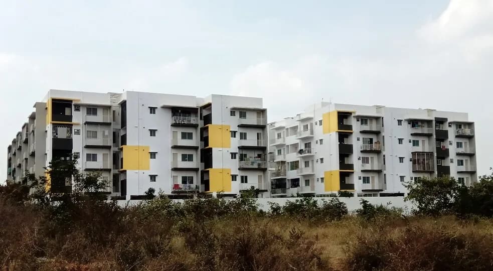 Pyramid Carnations, Yelahanka