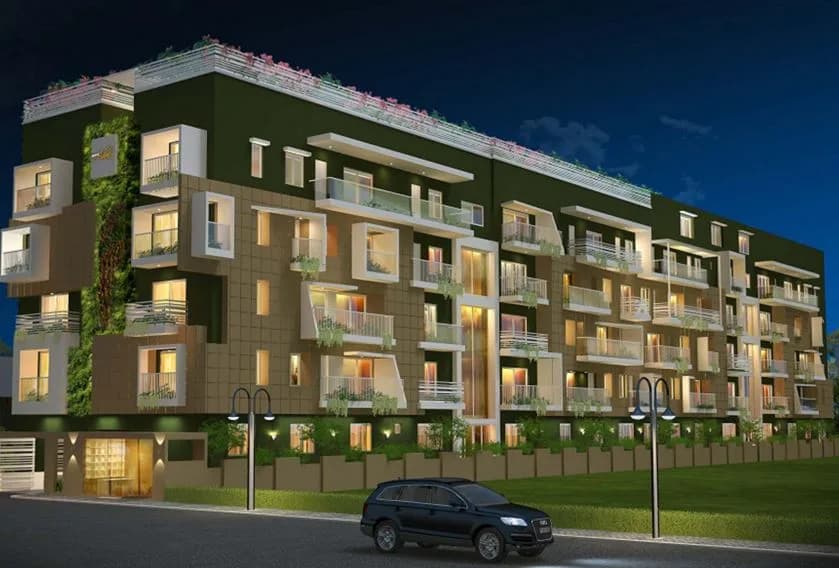 Redifice Adonis, Dollars Colony