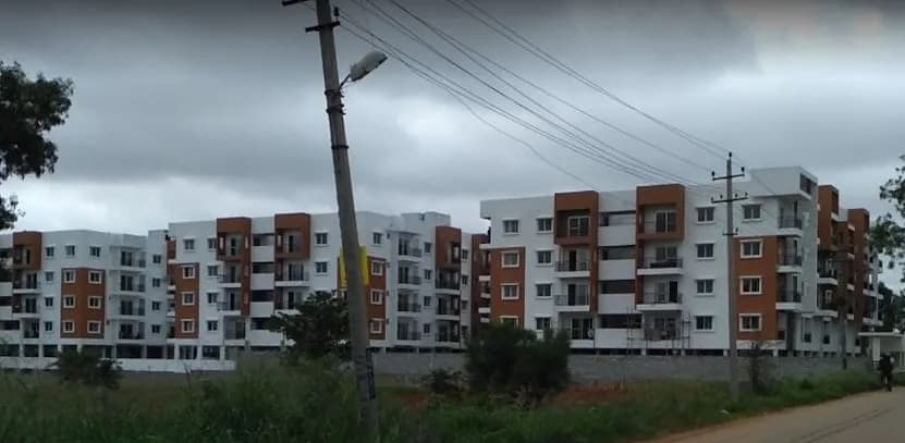 Hilife Triflora, Gunjur