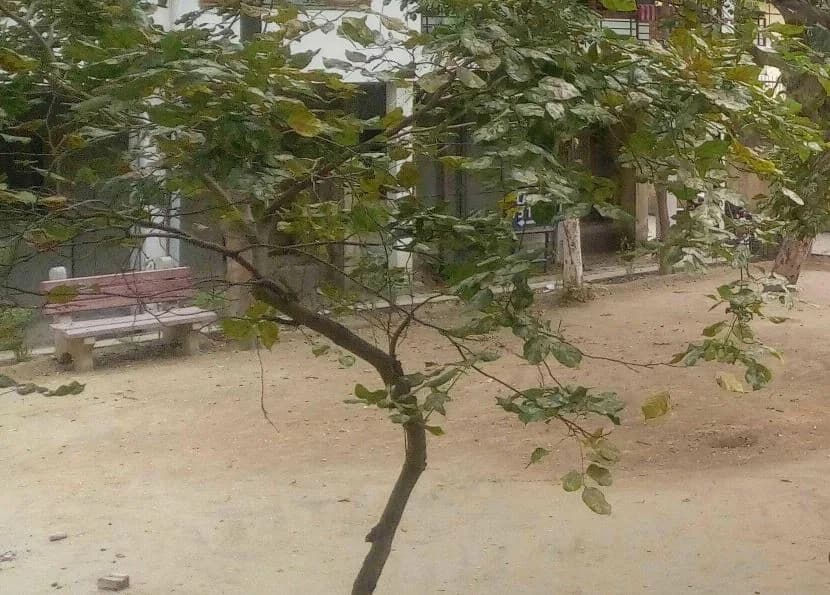 DDA Green Hill Apartment, Sector 23 Rohini