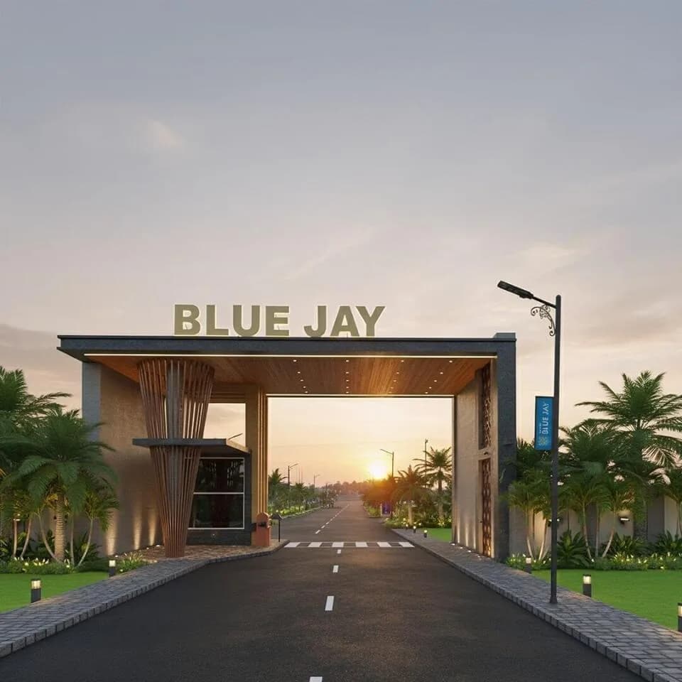 Sri Baby Blue Jay, Pappampatti Pirivu