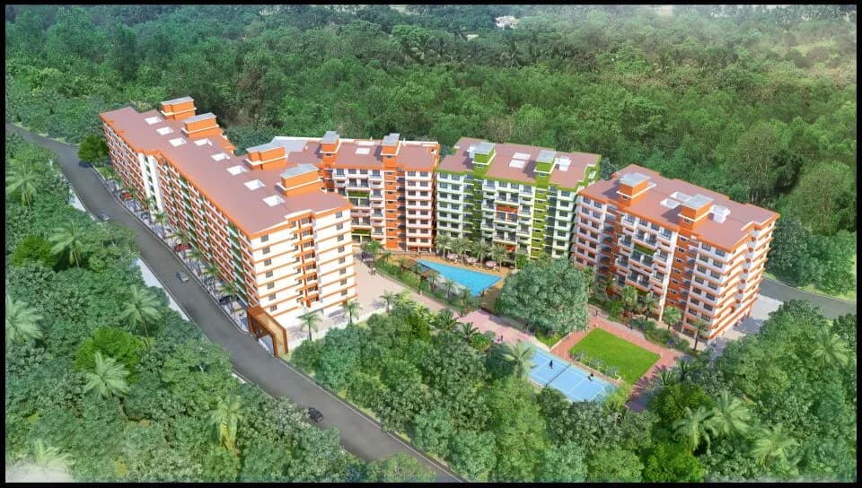 Prabhus Violetta, Dabolim