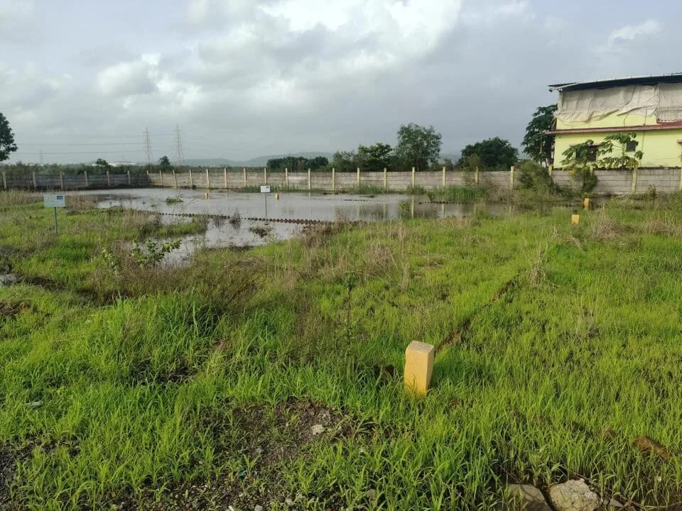 Divine Land, Chirle