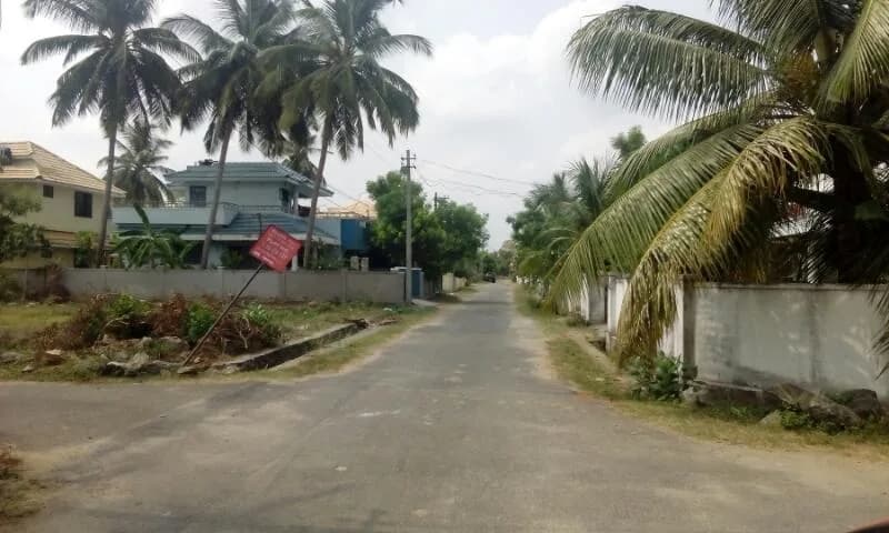 Chathamkulam Garden — Internal Road