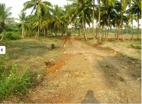 Bestow Eco Village, Kanjikode