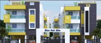Blue Oak Elite — Elevation Image