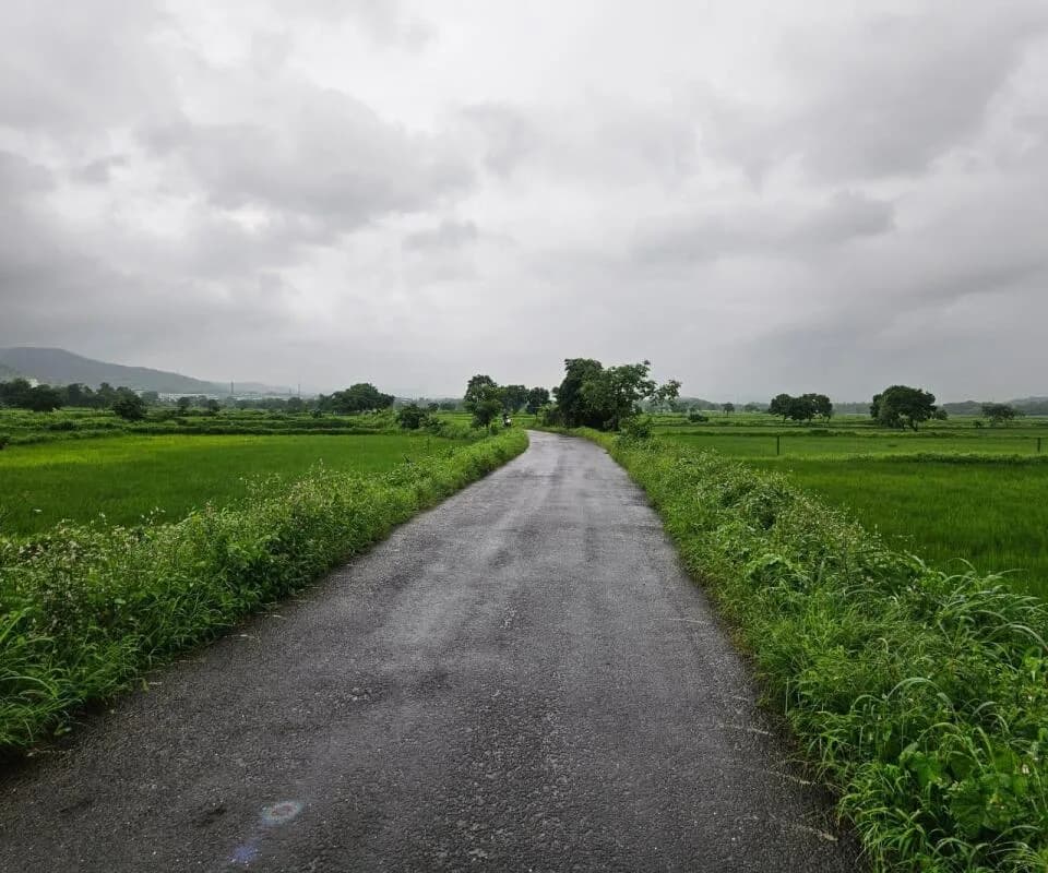 Prime Plots, Ranjanpada