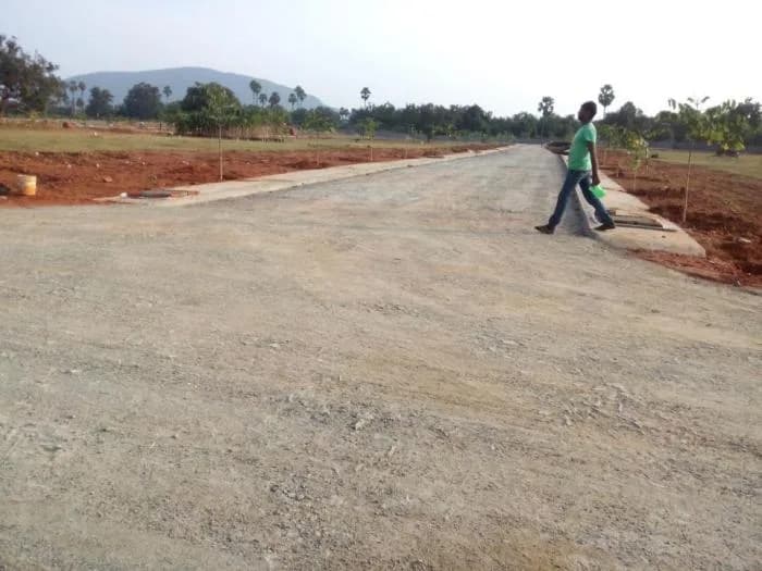 Royal City Plots — Site View