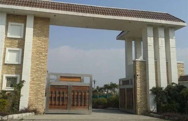 Himshikha Dwarkapuri, Clement Town