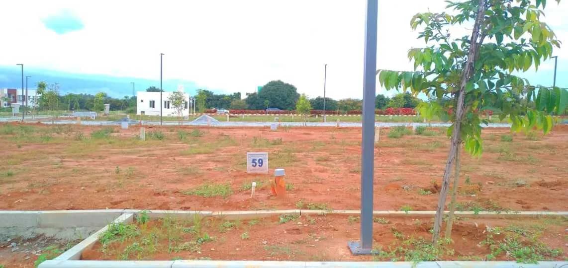 Sizzle Evergreen, KR Puram