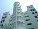 Pragmatic Lotus Court — Side View