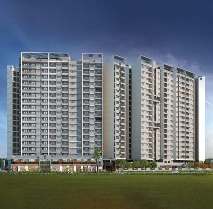 Platinum Citylight, Moshi