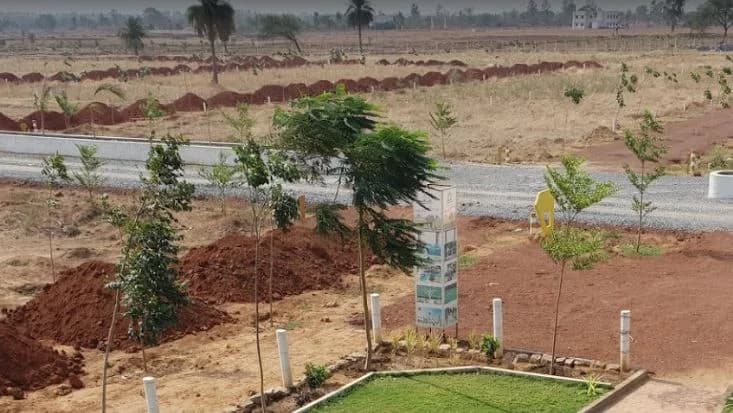 Aranya City Of Woodland, Pacheda 1
