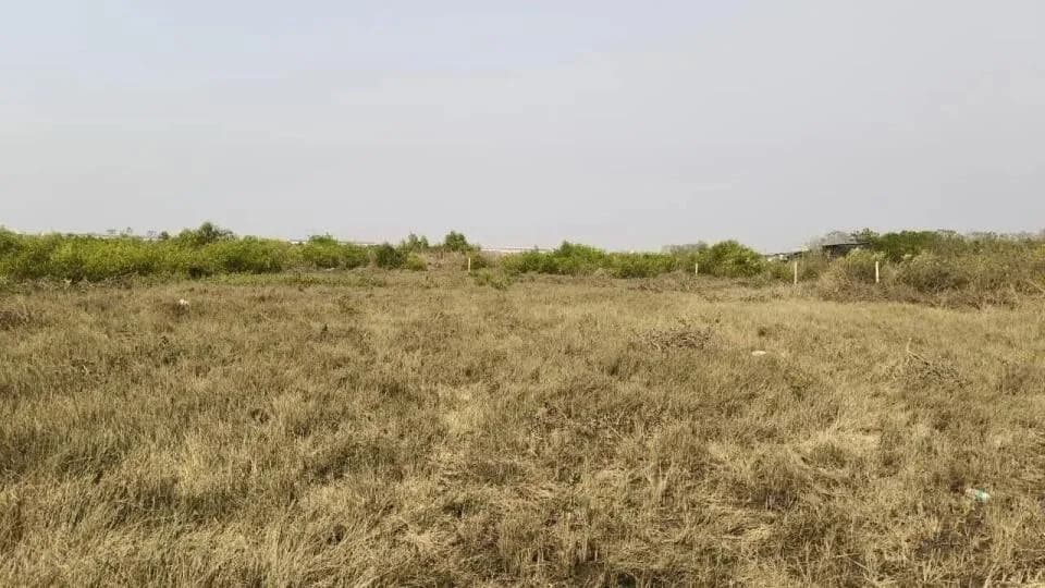 Landcity Lands and Plots Pale, Pale