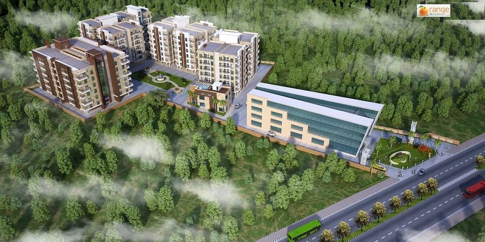 Orange Woods, New City Center