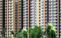 DLF Chisholm Apartments, Sector 24
