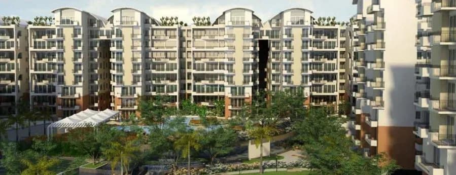 Shrem Tremonte, Fatorda