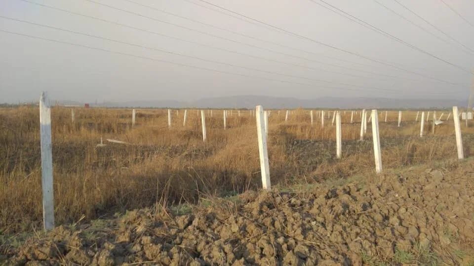 Towncity Developers Plots, Vindhane