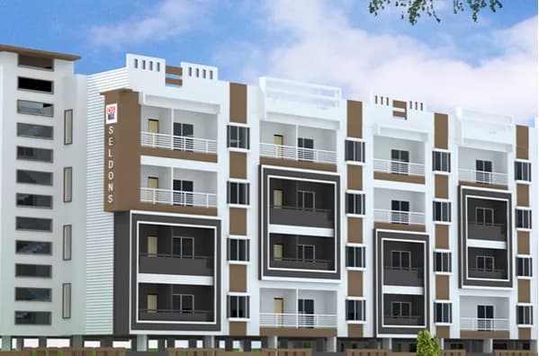 DS Max Seldons, Mallasandra