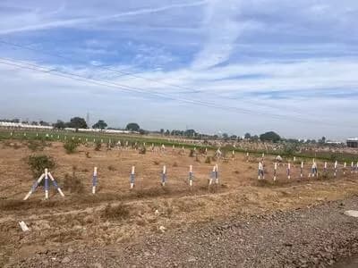 Landcity Plots, Vasheni