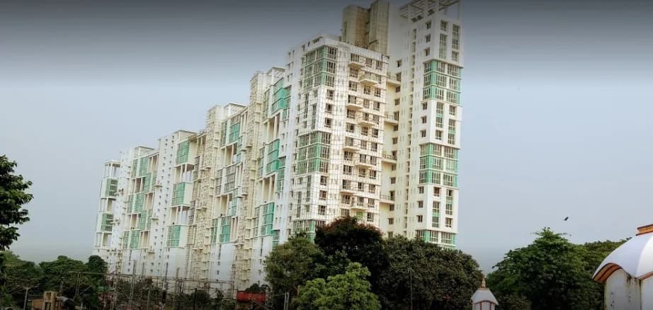 Ideal Exotica, New Alipore