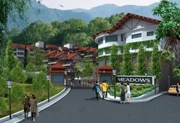 Meadows, Kulu Manali Road