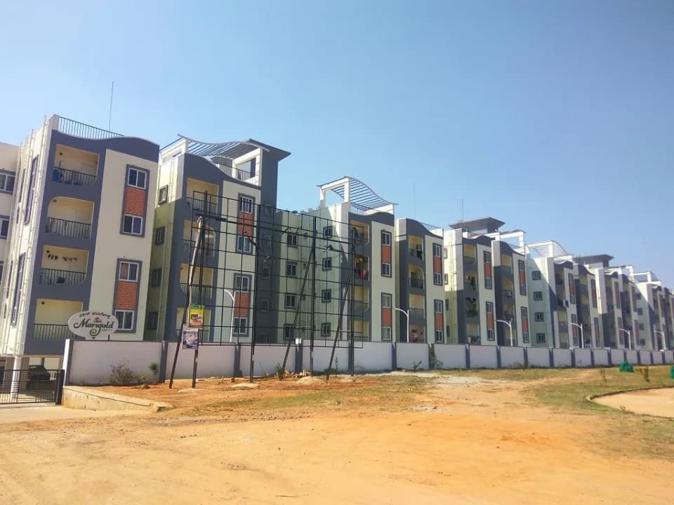 Vakil Marigold, Iggalur