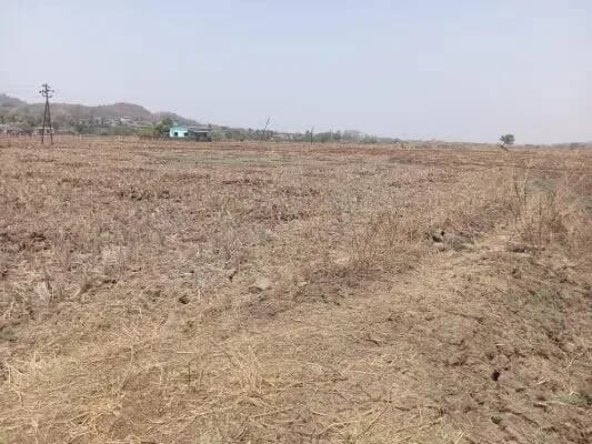 Landcity Land and Plots, Sarde