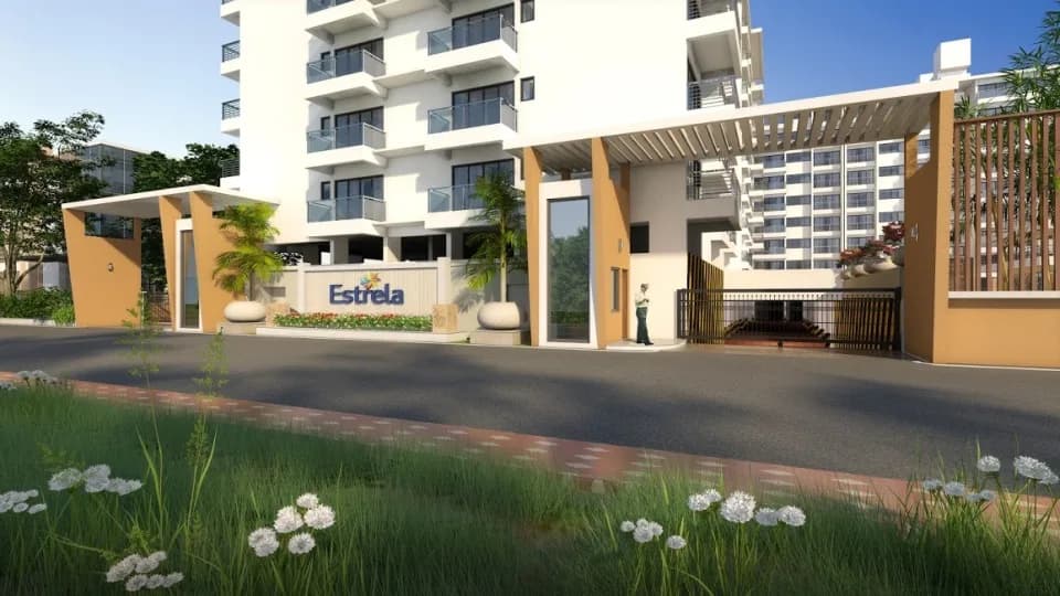Alcon Estrela, Tonca