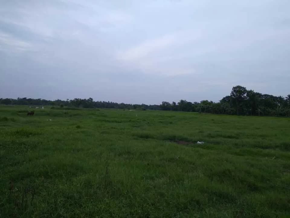 Rik Pailan Village, Joka