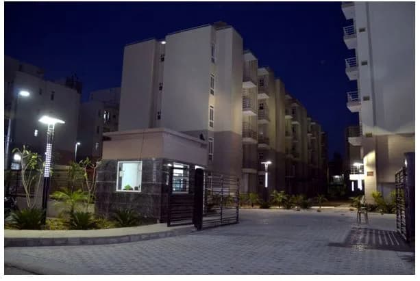 Terra Greens — Night View