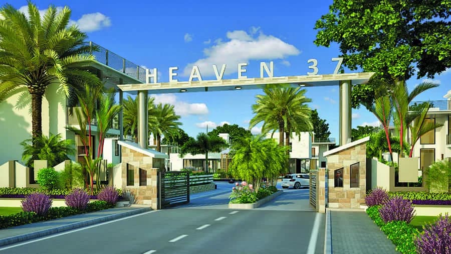 Heaven 37, Paria